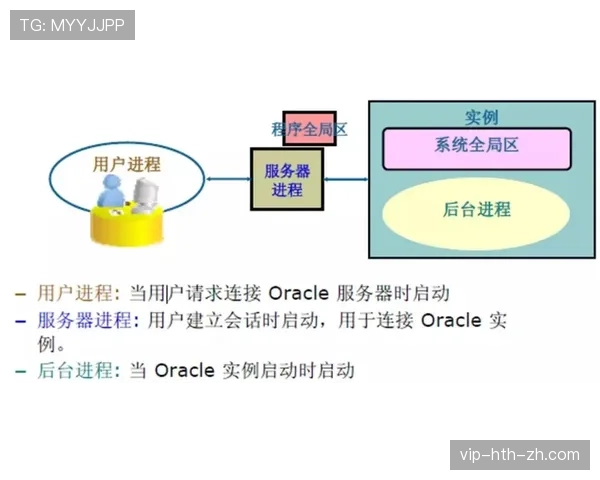 萨卡表现持续稳定的底层驱动机制解析 萨卡表现持续稳定的底层驱动机制解析